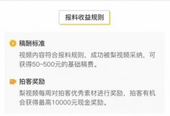 梨视频爆料费多少钱,揭秘巨额费用背后的真相