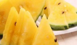 网红瓜去哪吃比较好,揭秘瓜界美食新宠